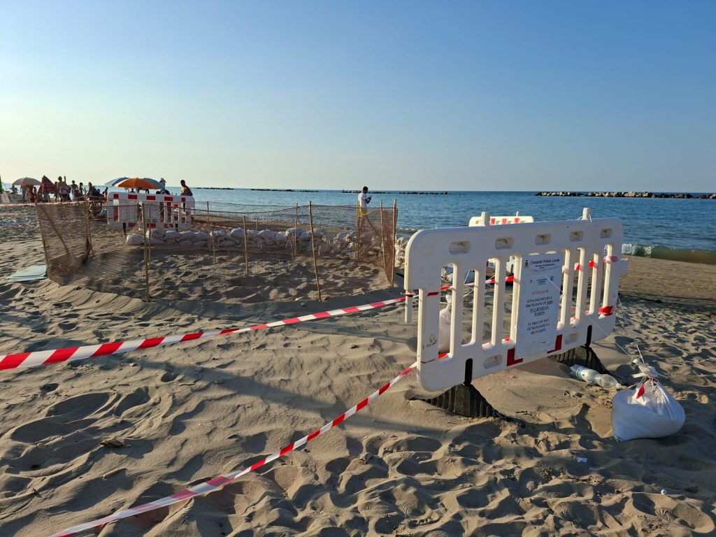 Campomarino Lido