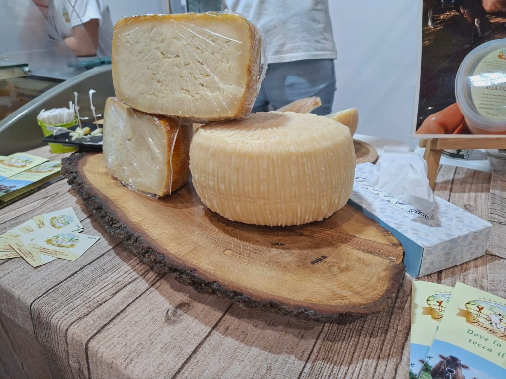Casearia formaggi Molise