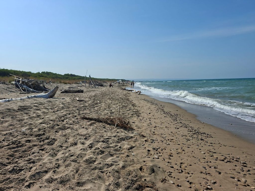 spiaggia naturalista di Petacciato