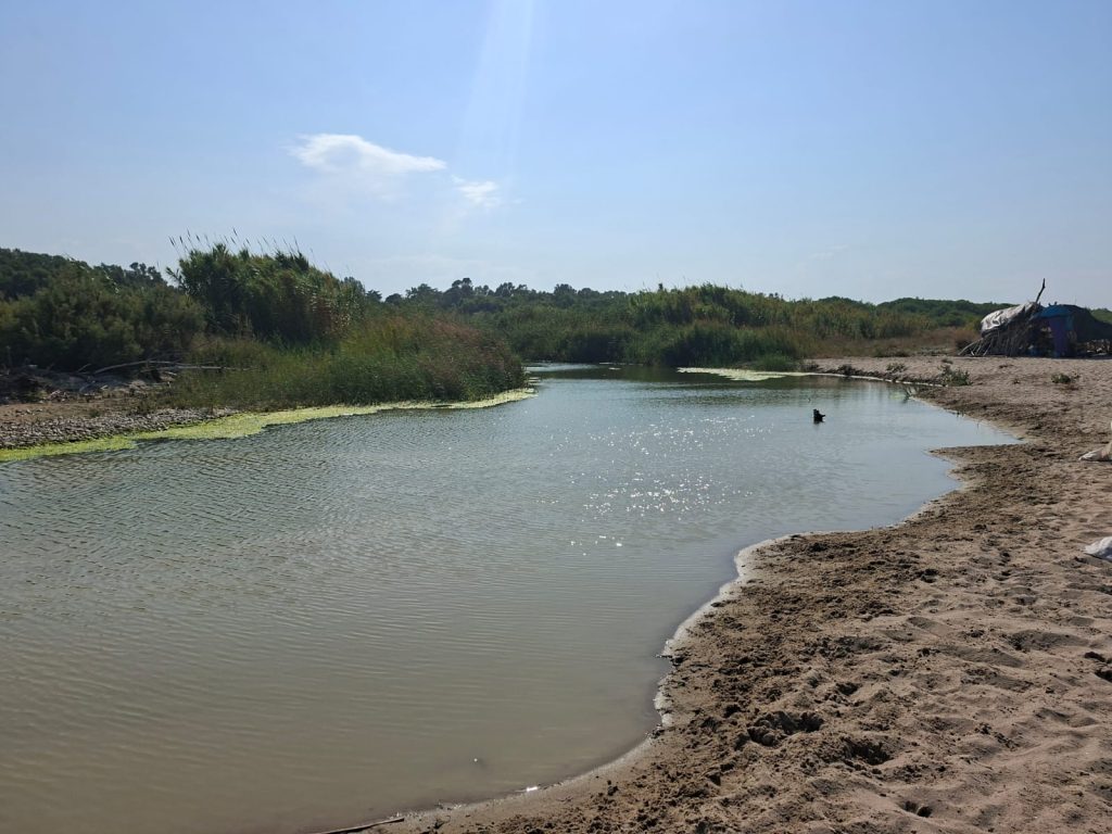spiaggia naturalista di Petacciato