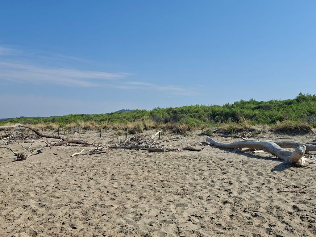 naturist beach of petacciato