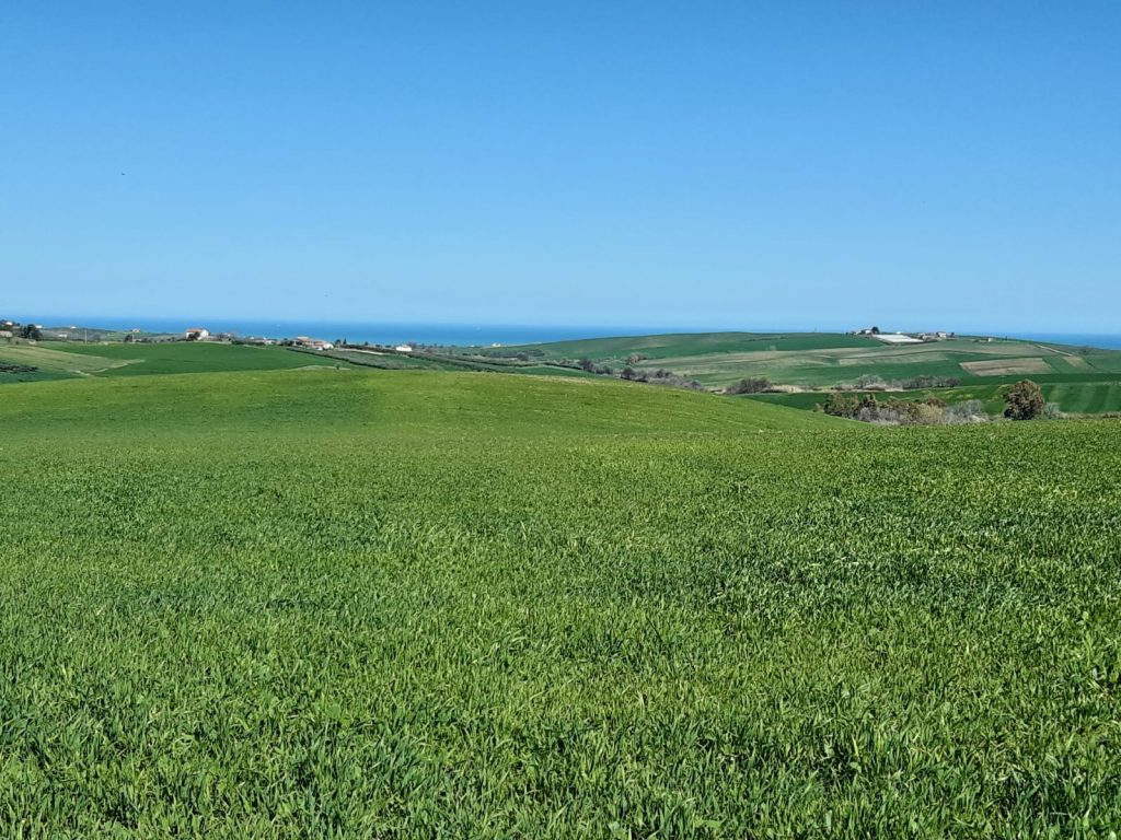 viaggio sostenibile in molise